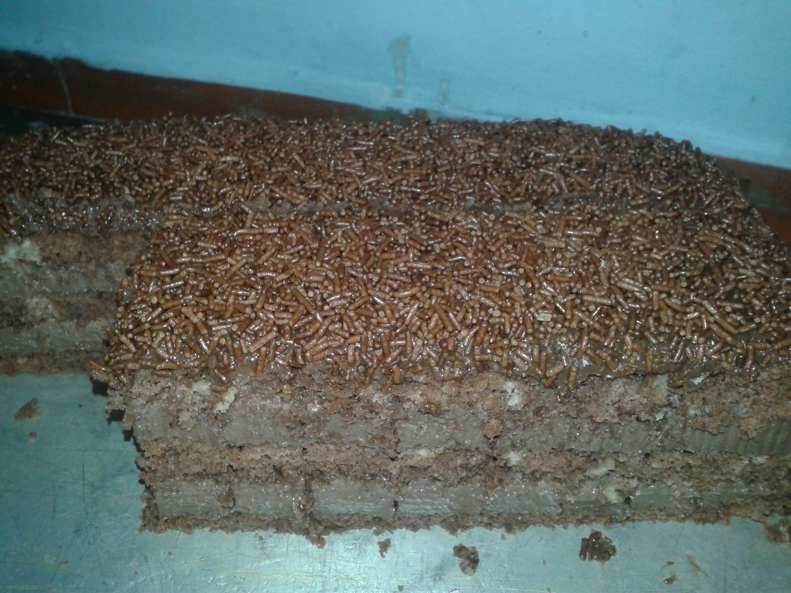 Bolo Mousse de Chocolate pedaço